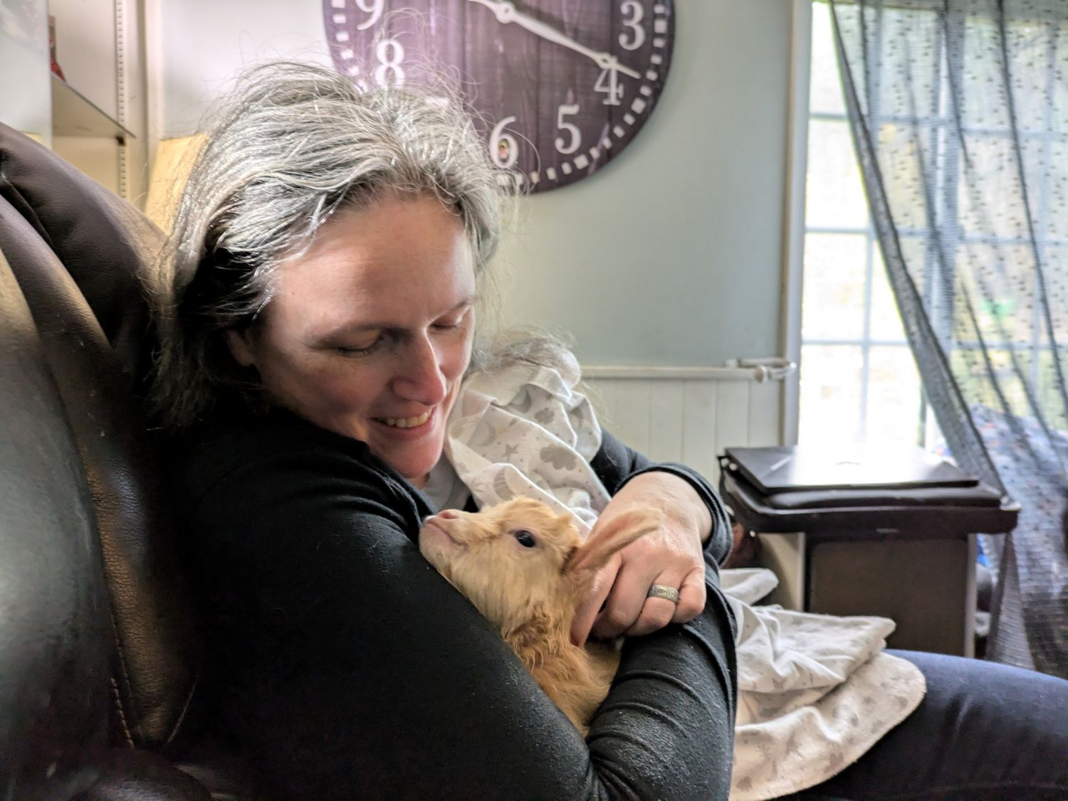 Caring for a Golden Guernsey at Eira Creek